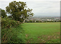 Field on Dundry Hill