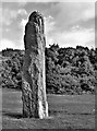 Standing Stone - Broomfields, Largs