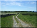 NZ0421 : Farm track (footpath) beside stone wall by JThomas