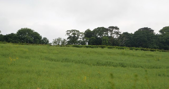 Farmland north of A379
