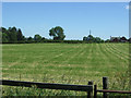 NZ1623 : Cut silage field towards Grange Cottage by JThomas