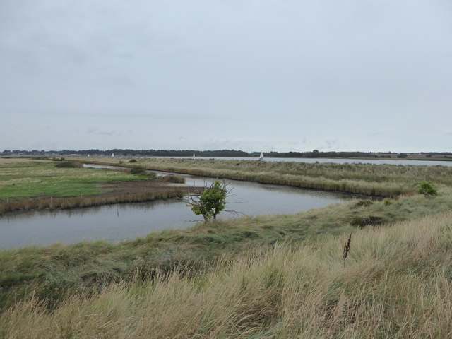 Drainage channel near the Orwell
