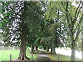 Riverside walkway, Builth Wells