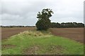 Boundary between two arable fields