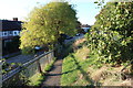 Path by Mostyn Road, Merton