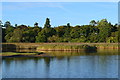 Mill Dam pond at Beaulieu