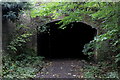 Tunnel Entrance on Parlington Lane