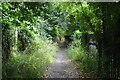 Footpath passing cemetery