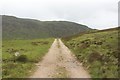 NN6495 : Estate track to Dail na Seilg by Graham Robson