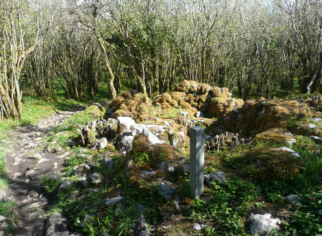 Spring in the Burren National Park