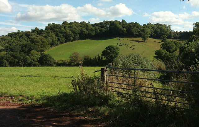 Landscape near Shillingford St George