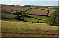 Farmland near Whiddon Farm