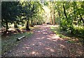 SU8034 : Path on Deadwater Valley LNR, Bordon, Hampshire - 170918 by John P Reeves