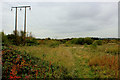 Footpath North of Garforth