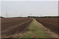 Farm Track heading East towards Hookmoor Cottage