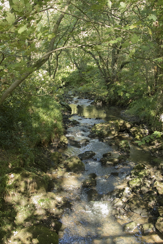 A stream in Coombes Valley © Malcolm Neal cc-by-sa/2.0 :: Geograph ...