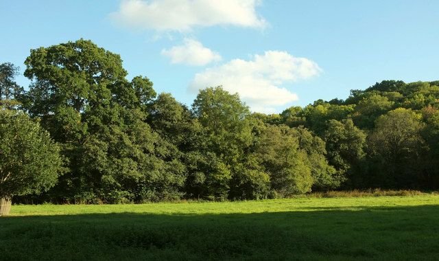 Field by the Beadon Brook