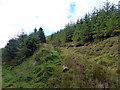 SH7108 : Forest track ascending towards Graig Goch by John Lucas