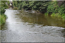 N8056 : River Boyne, Trim by N Chadwick