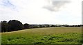 Grazing land between Liscalgot Road and the River Creggan