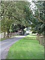 Road through park land at Little Danby Hall