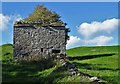 Old barn north of Bradwell