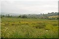 Water meadow by the River Avon