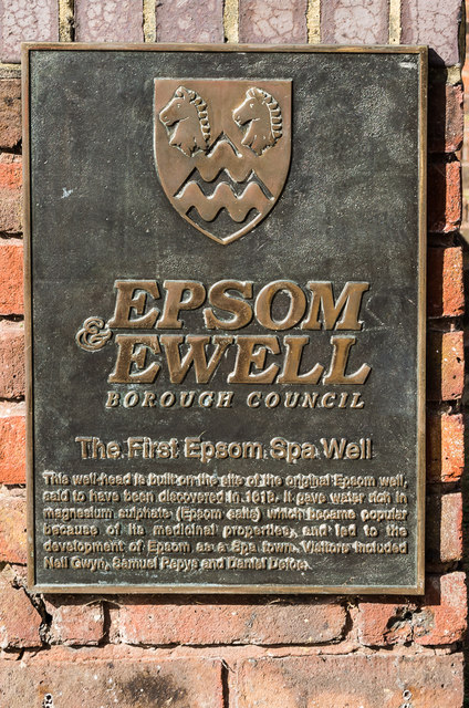 Plaque, Epsom Well