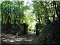 Remains of bridge on former Taunton to Barnstaple railway