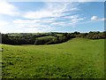 View towards Poole Bottom