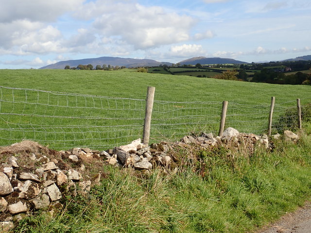 Grazing land on the east side of Coolderry Road