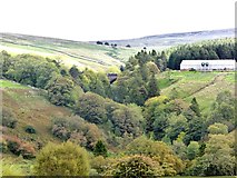 NY7540 : Distant view of Ashgill by Oliver Dixon