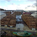 Logs at Scrabster Harbour