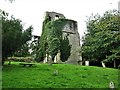 Ruins of St Mary