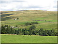 Upper Weardale east of Green Pit