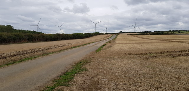 View Along Lane Towards Wind Turbines
