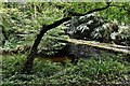 nr Carnglaze Caverns: River Loveny and small bridge over