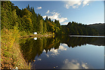 NN9159 : East Shore of Loch Faskally, Perthshire, Scotland by Andrew Tryon