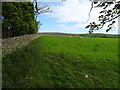 Grazing, Dunnockshaw