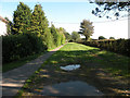 Byway at Burrough End