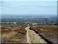 SE1875 : Track descending Grewelthorpe Moor by Gordon Hatton