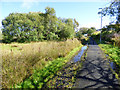 Footpath to Upper Cartsburn Street