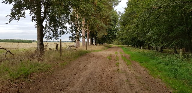 View along Elveden Road