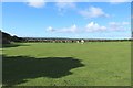NZ3862 : Grass field, Cleadon Grange by Graham Robson