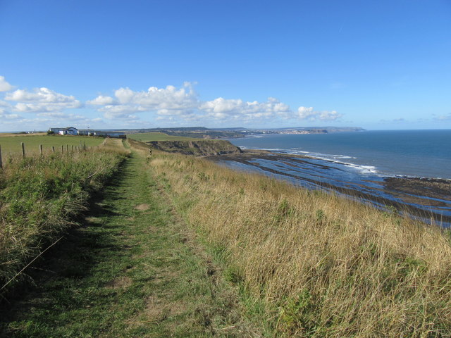 Gristhorpe Cliff, Scarborough - area information, map, walks and more