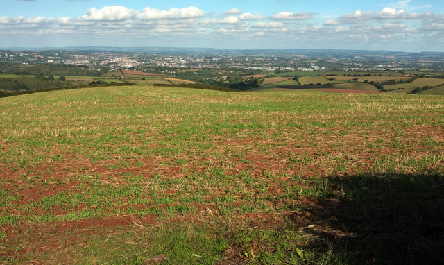 View from Knowle Hill