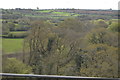 Woods below Slade Viaduct