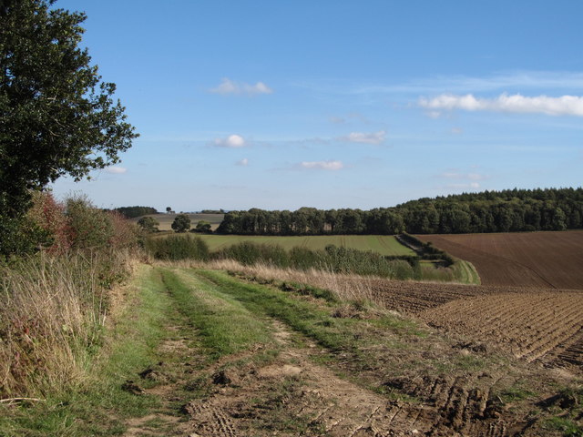 Field track, Slingsby Bank