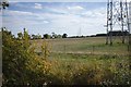 Field with Pylons