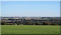 Grassland at Broughton Braygate